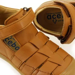 Acebos