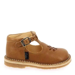 Aster