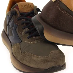 Cetti