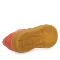 Gola