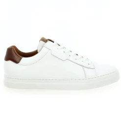 Schmoove